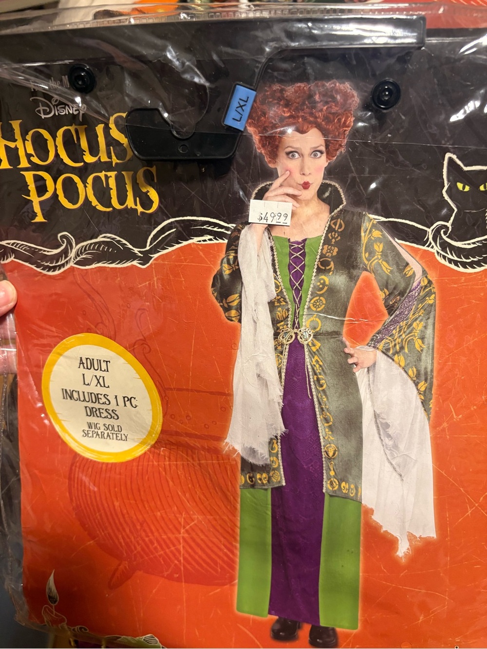 Disney adult l/xlWinifred Sanderson Inspired Witch Dress and wig